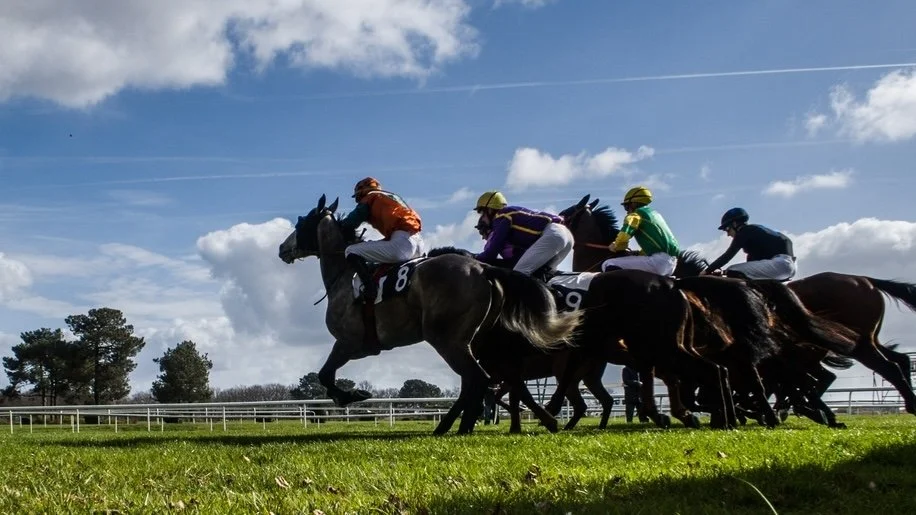 2026 Preakness Stakes Post Position Draw Reaction: Updated Picks and Revised Pace Scenario