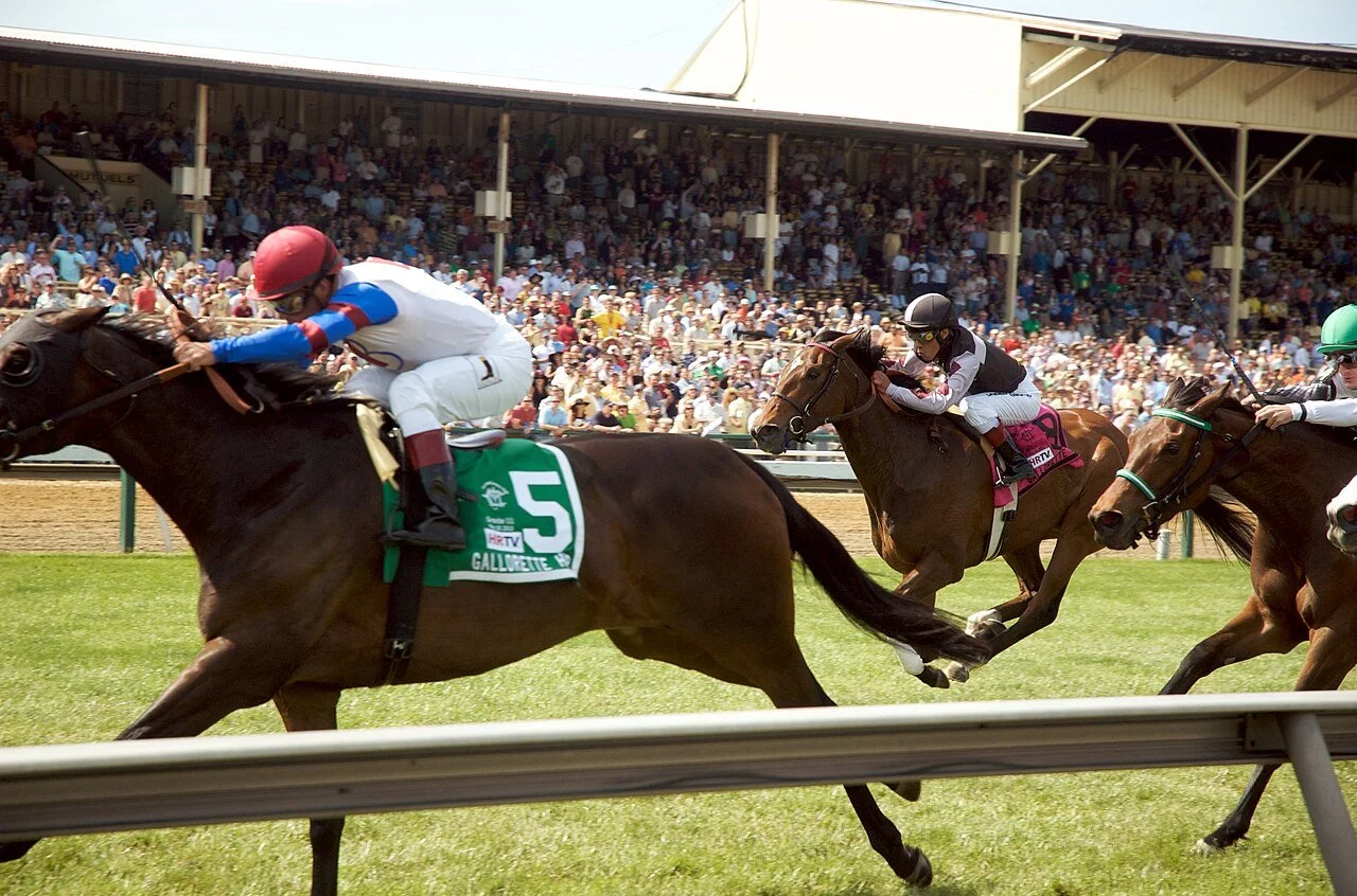 2026 Preakness Stakes Contenders: Full Field Guide, Early Odds And Form