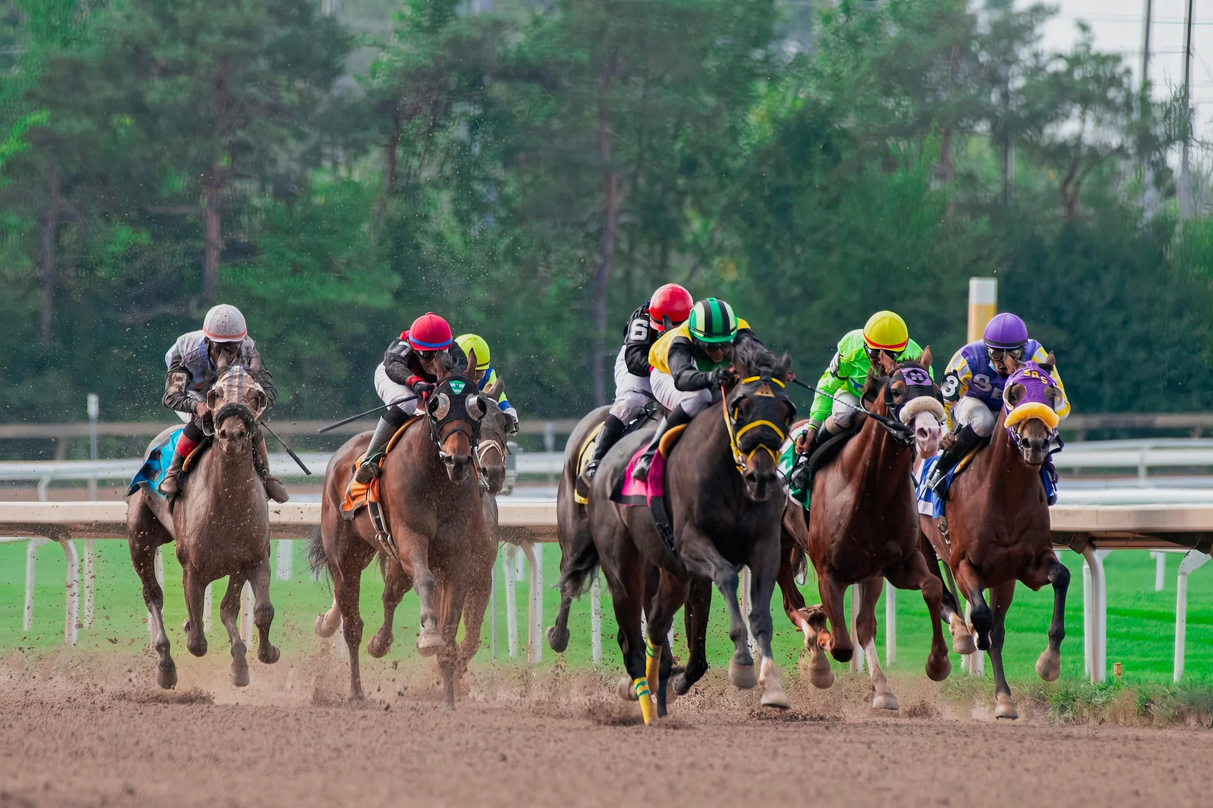 Preakness Stakes Pace Scenario 2026: Three Betting Cards Based on How the Race Is Run
