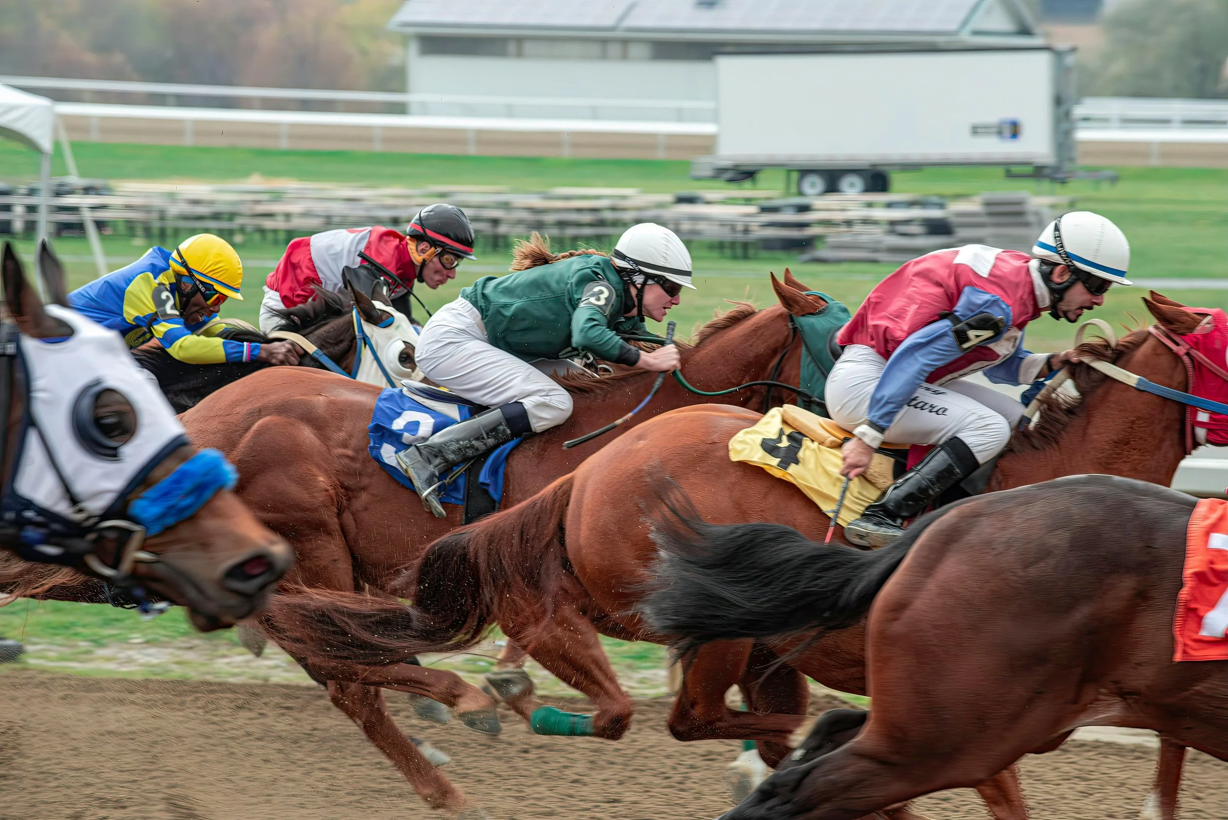 Preakness Stakes 2026: Final Predictions and Best Bets