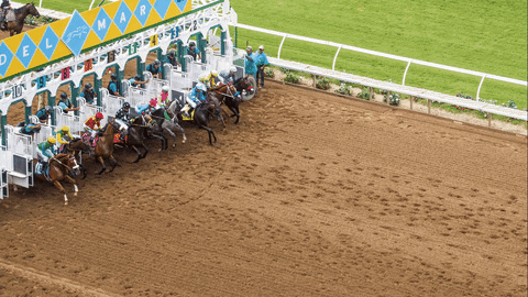 2026 Preakness Stakes Results: Napoleon Solo Wins the Middle Jewel at Laurel Park