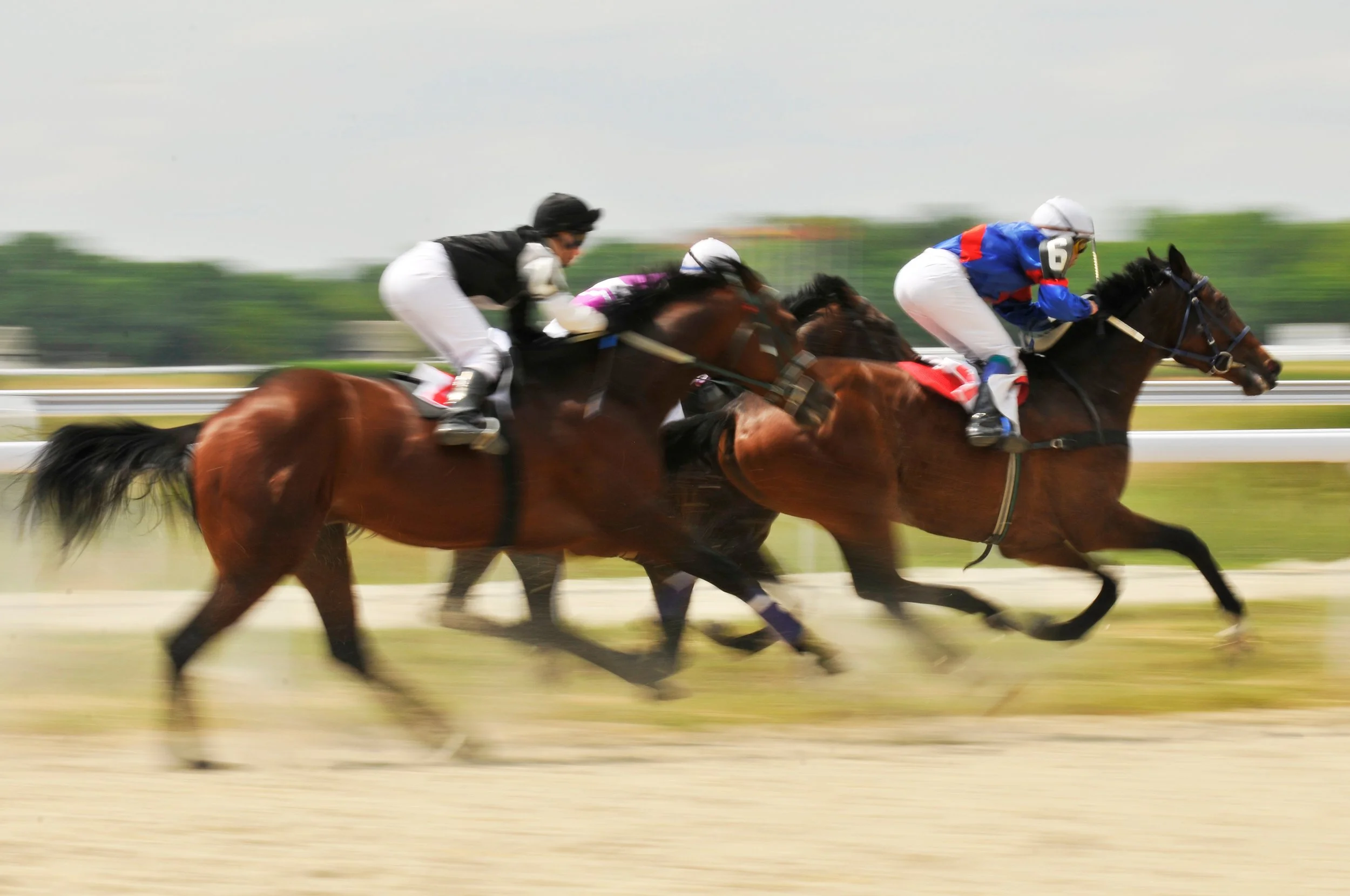 Bet the Belmont Stakes: 2026 Contenders — Full Field Guide