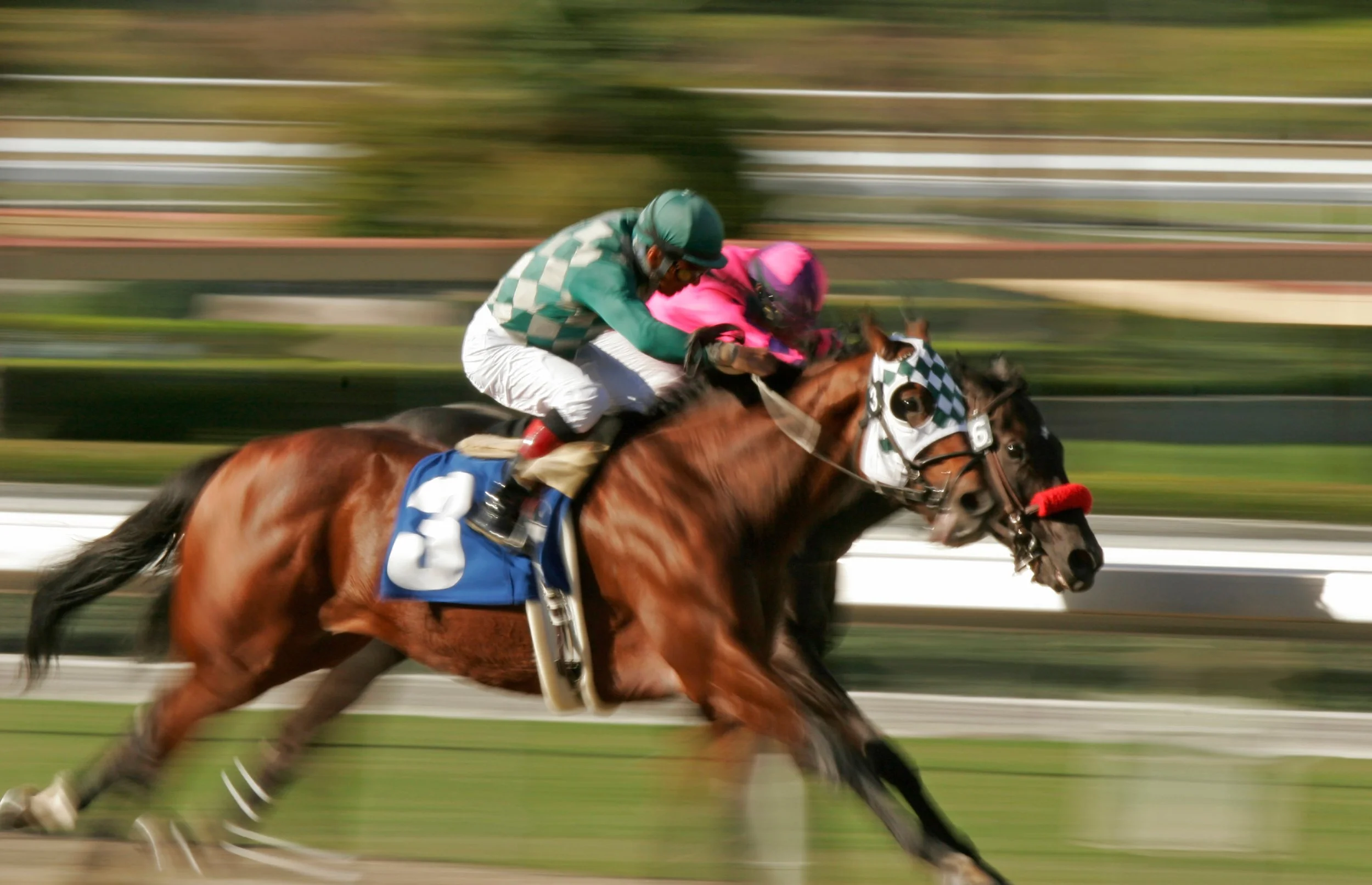 Bet the Belmont Stakes: 2026 Trainer and Jockey Guide