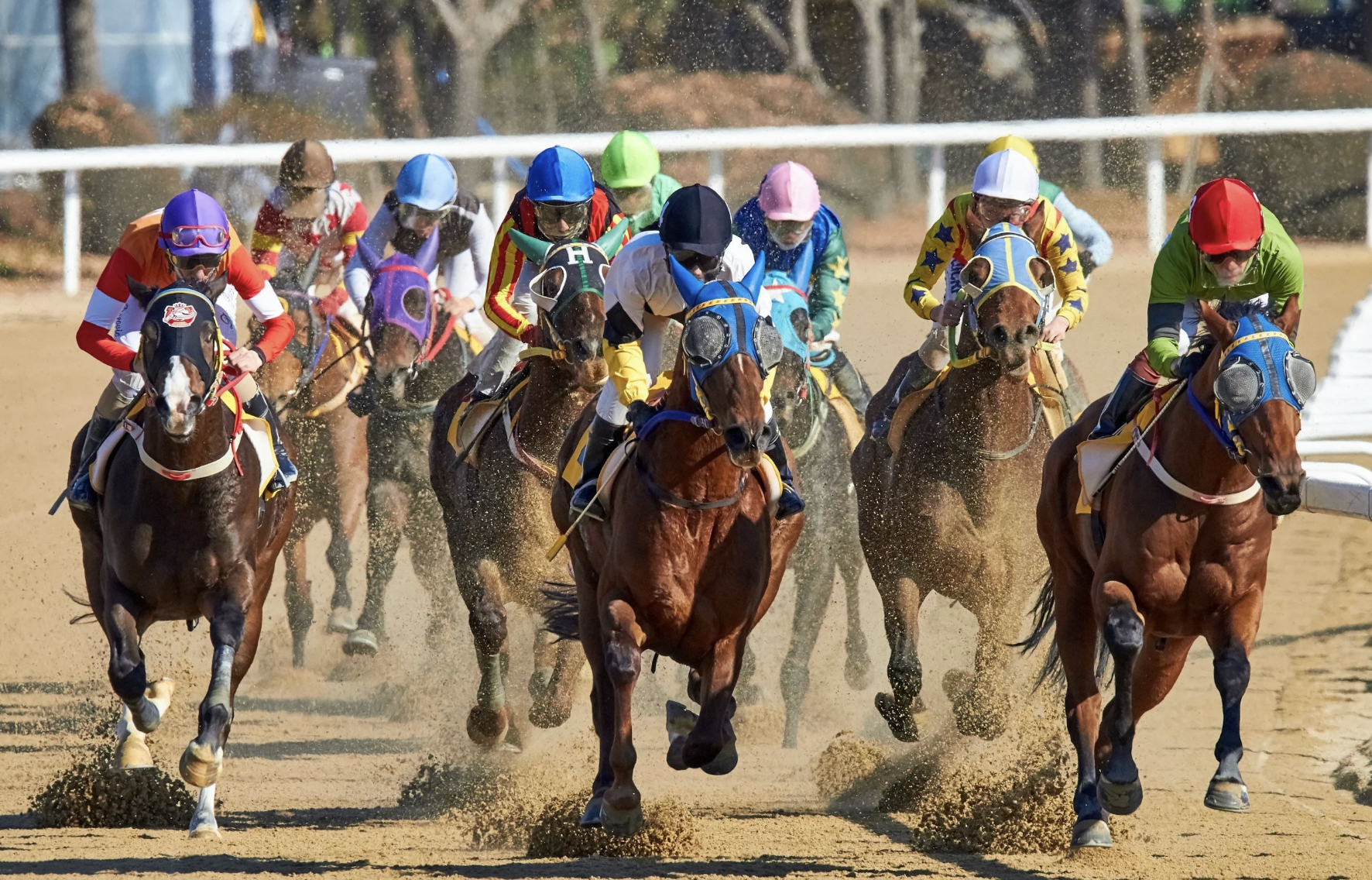 Triple Crown History: Why the Belmont Stakes Is the Hardest Race to Win