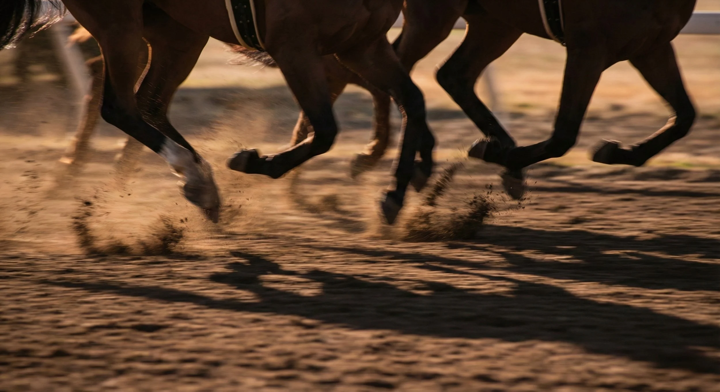 Belmont Stakes 2026 Betting: Predictions and Tips