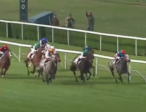 Track Spotlight: Why Colonial Downs Belongs in Your Summer Betting Plans