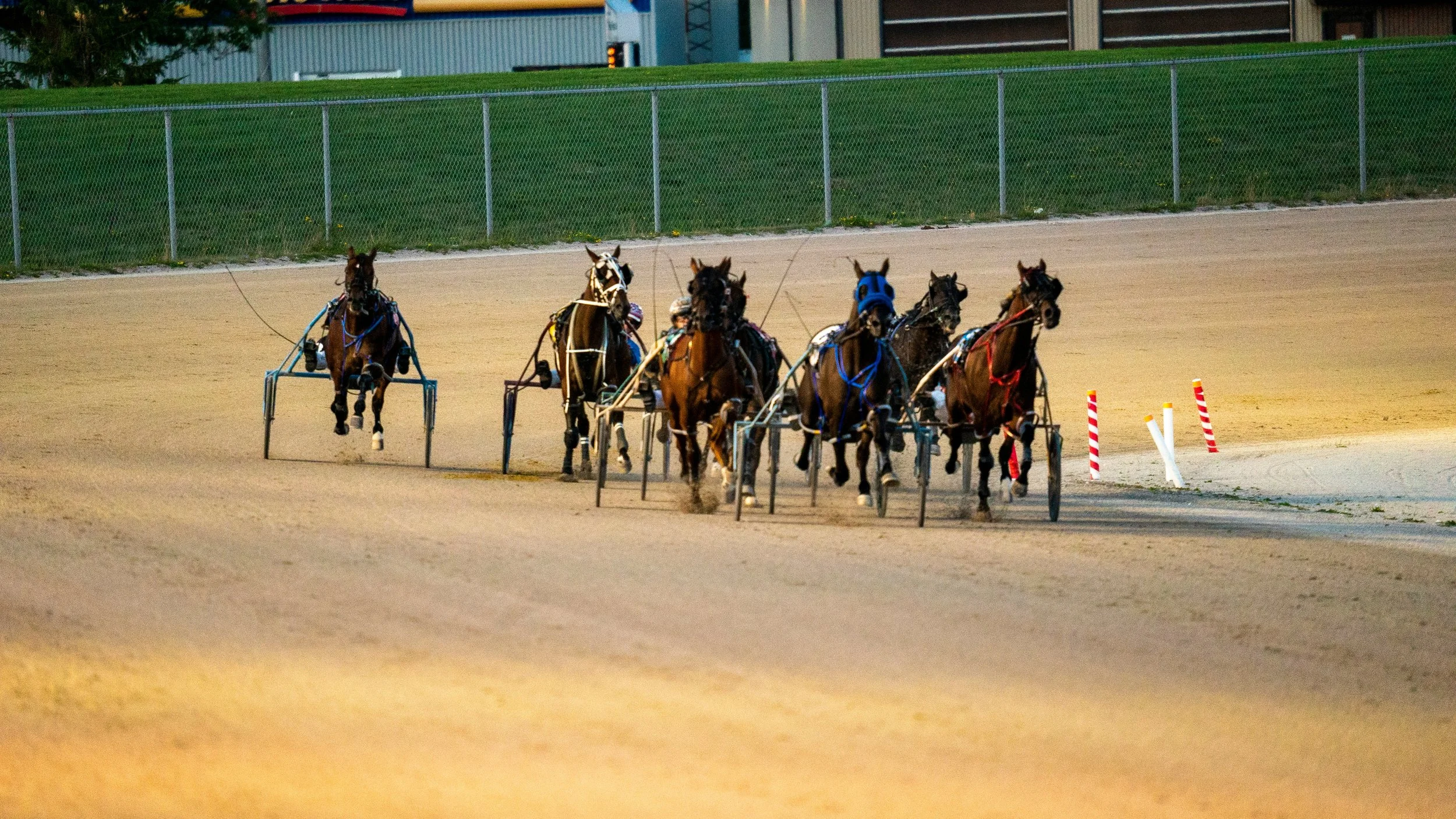 Meadowlands Harness Racing Weekend Preview: Pace Eliminations Lead a Stacked Fourth of July Card