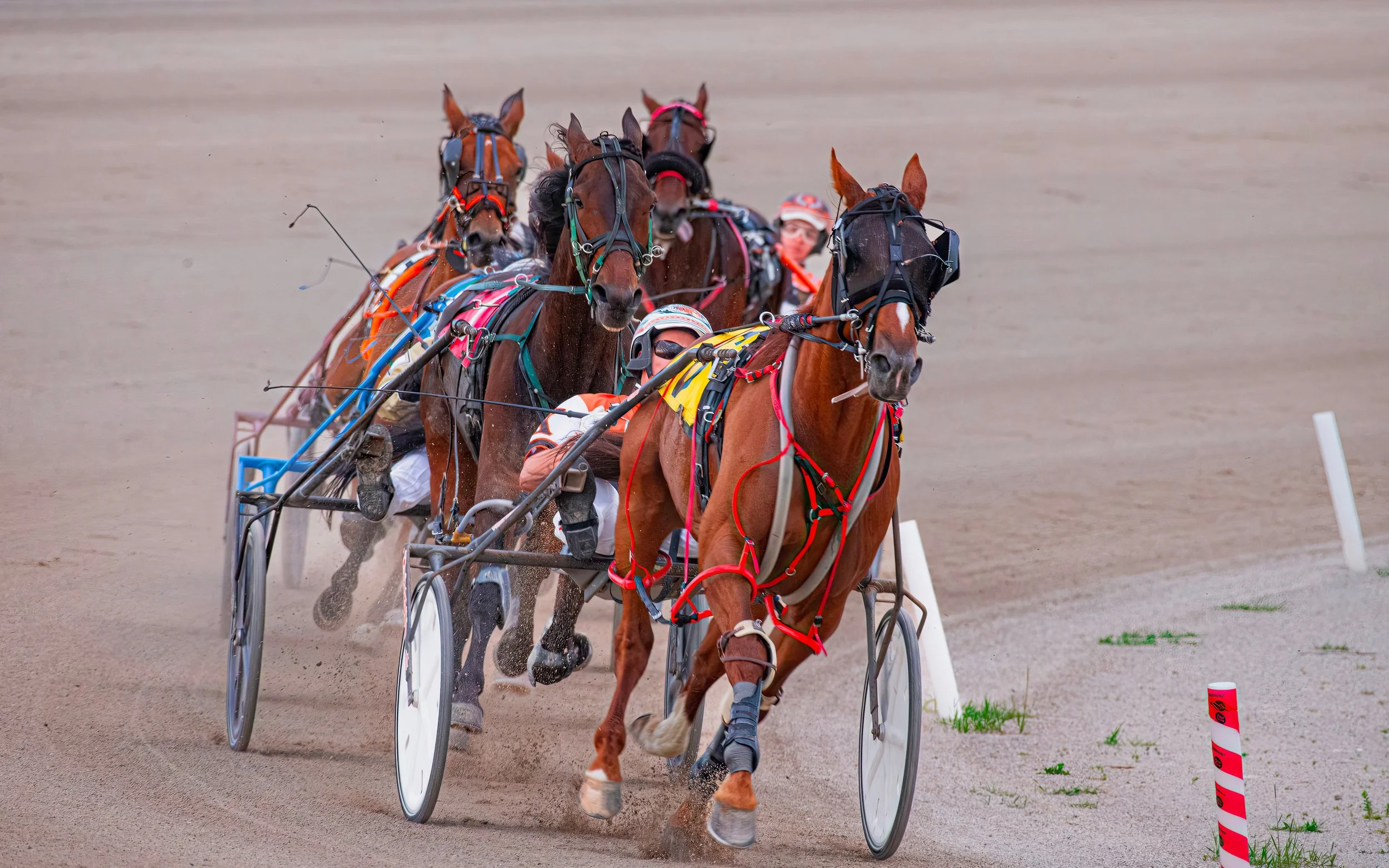 Meadowlands Pace Night 2026: Full Field, Odds, And Betting Tips For The 50th Running