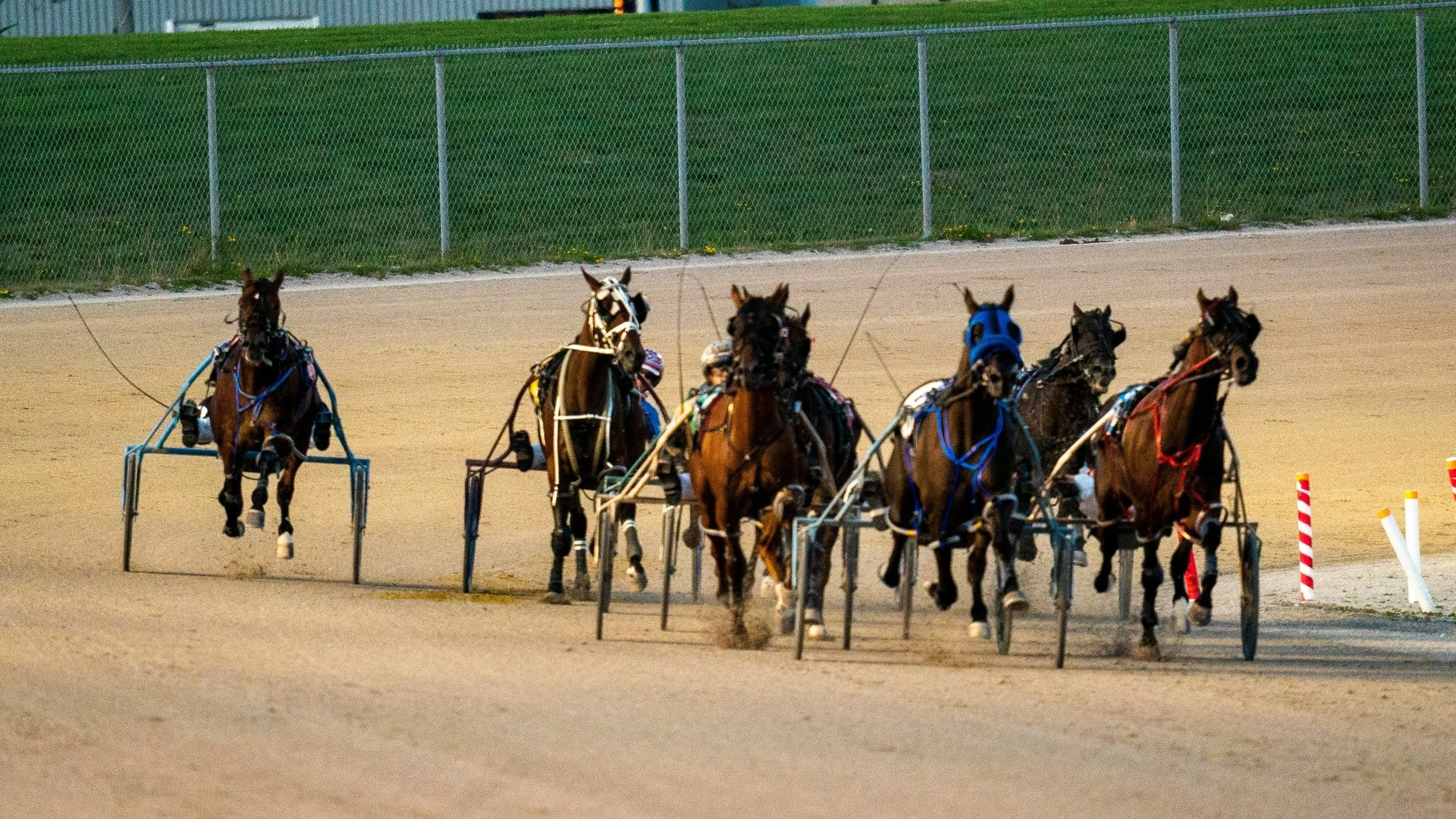 Spirit of Massachusetts Day: Grade 2 and Grade 3 Harness Racing at Plainridge Park