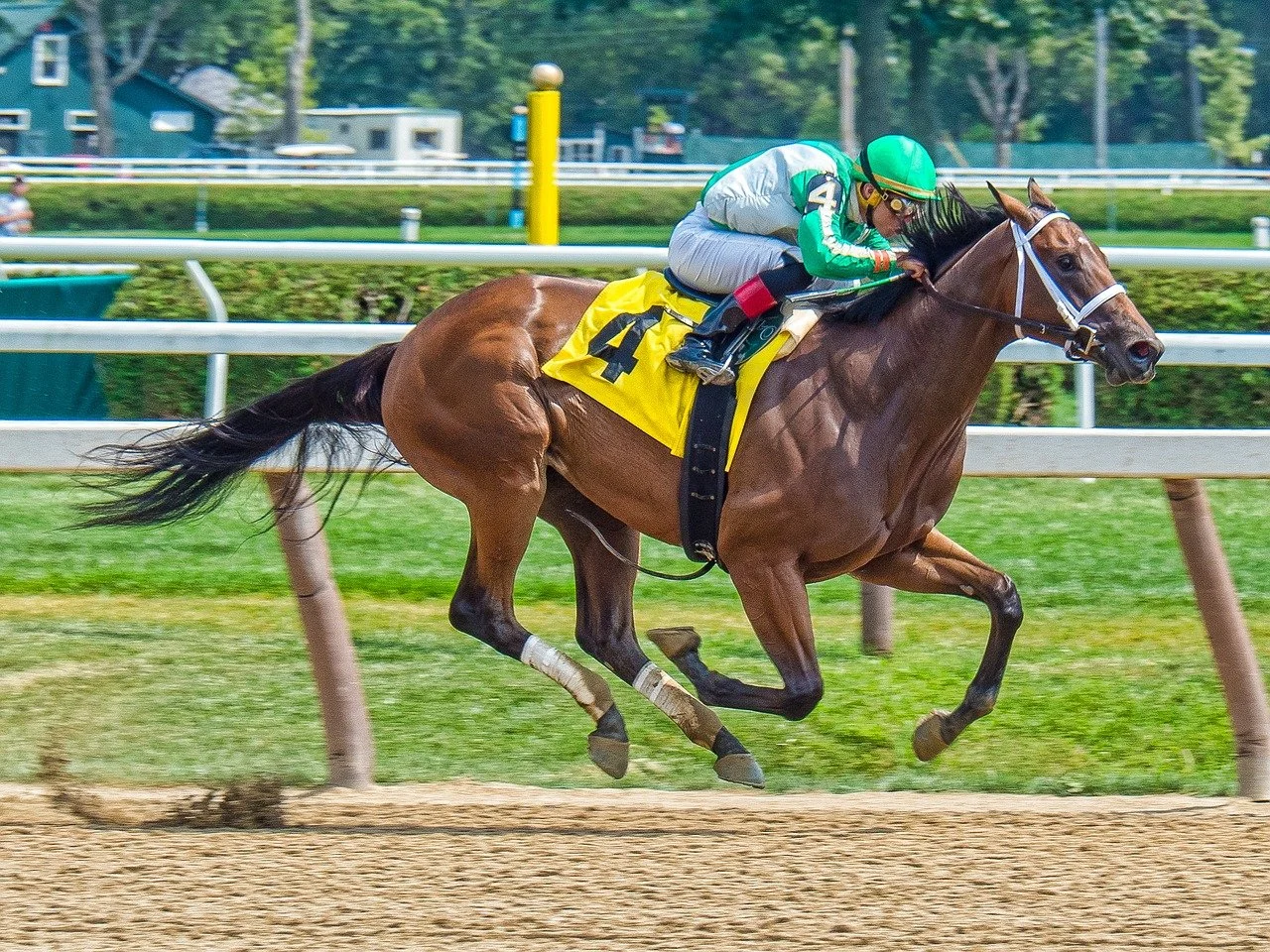 Saratoga Weekend Racing Preview: Shuvee, Coaching Club Oaks and Vanderbilt Headline July 24 to 26