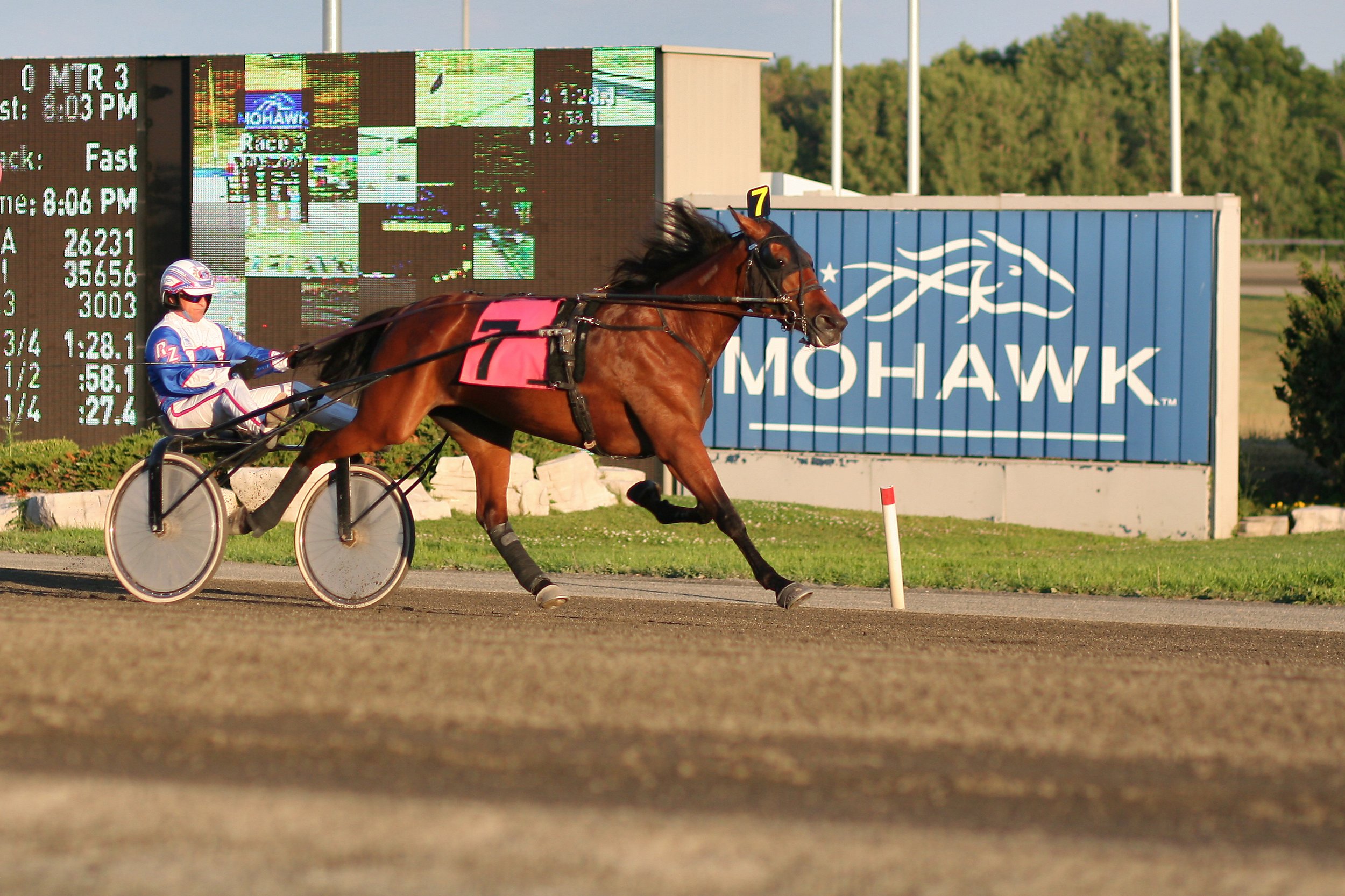 Woodbine Weekend Preview: Three Grade 3 Stakes Headline Saturday, Harness Rolls at Mohawk Park (July 25 to 26)
