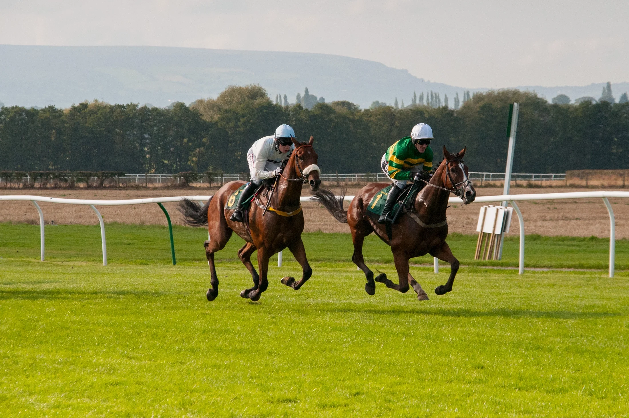 Boost the Bankroll: A Real Bankroll Management Guide for Horse Racing Bettors