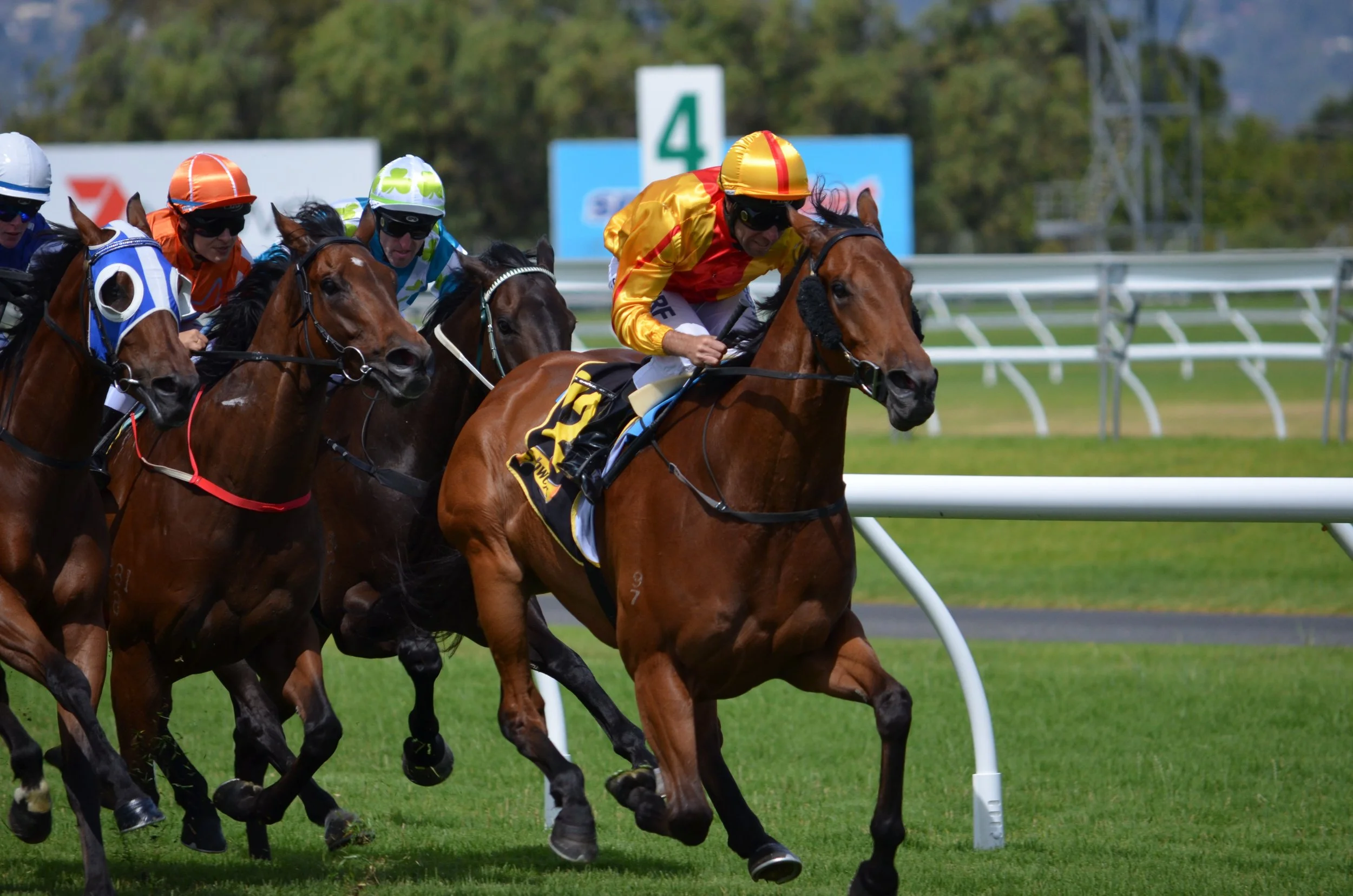 Horse Racing Equipment Abbreviations Explained: Blinkers, Visors, Cheekpieces and More