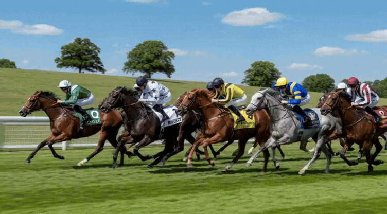 Glorious Goodwood 2026 Day 1: Morning Lines, News, Tips and Insights