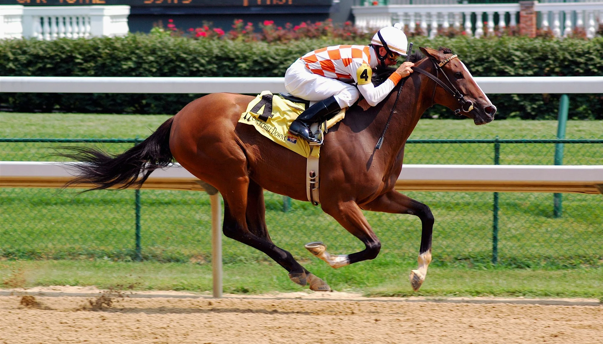How to Bet on Horse Racing Online in Connecticut