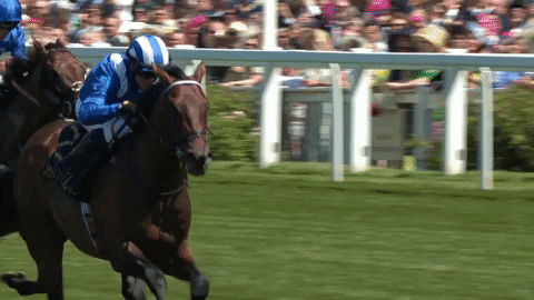Glorious Goodwood 2026 Day 4: King George Qatar Stakes Odds, Tips and Insights
