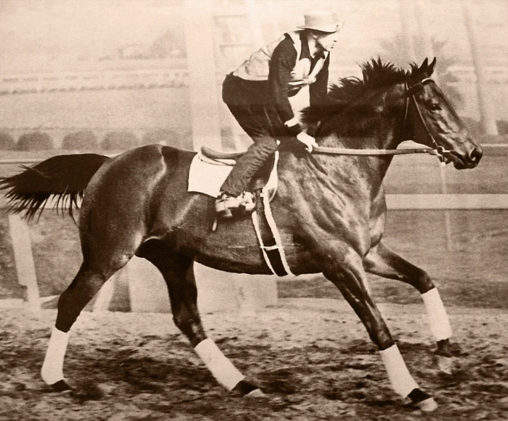 Seabiscuit: The Full Story of Horse Racing's Greatest Underdog