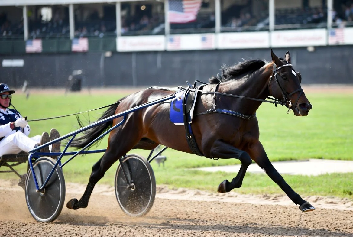 Saturday's Showcase: Hambletonian Day, Best of Ohio and the Shergar Cup Collide