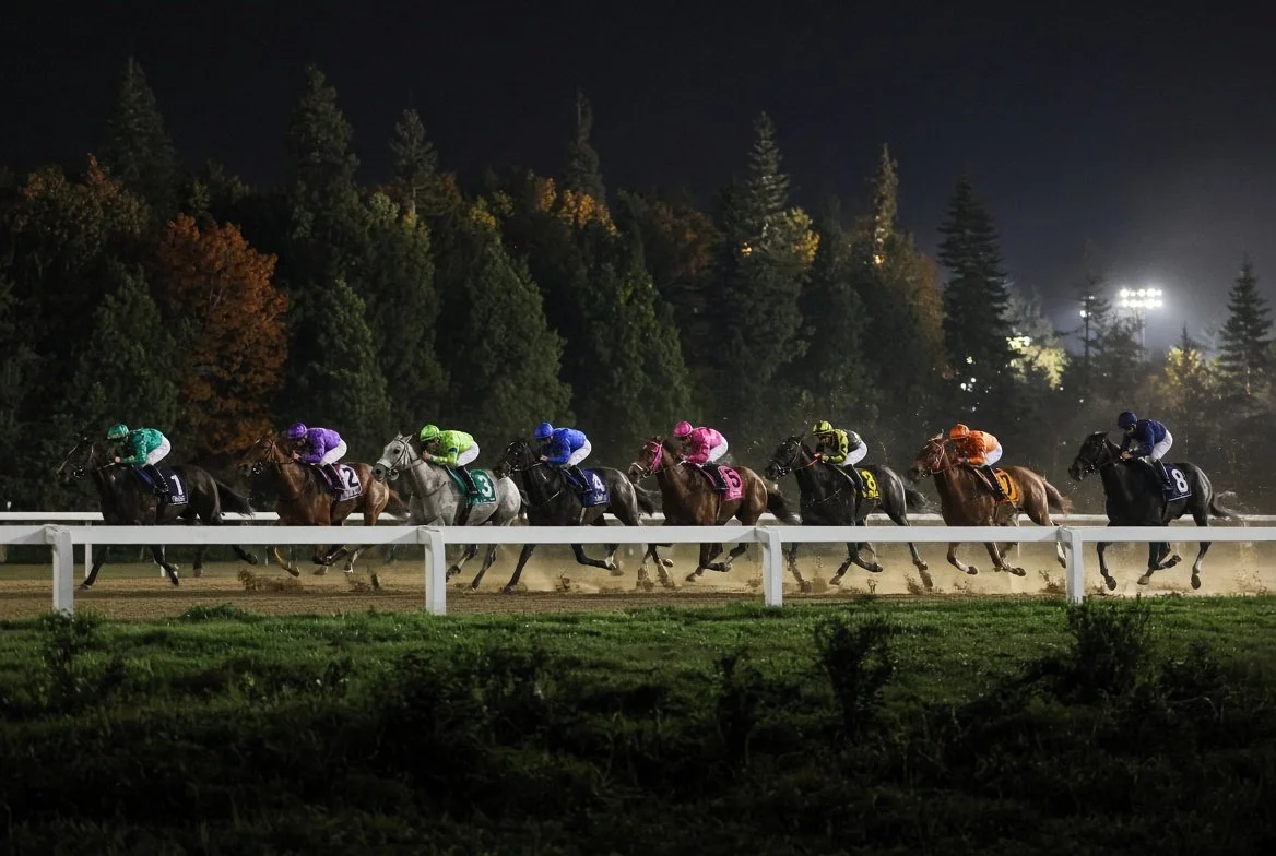 Presque Isle Masters Stakes And Churchill Downs Saturday Betting Guide
