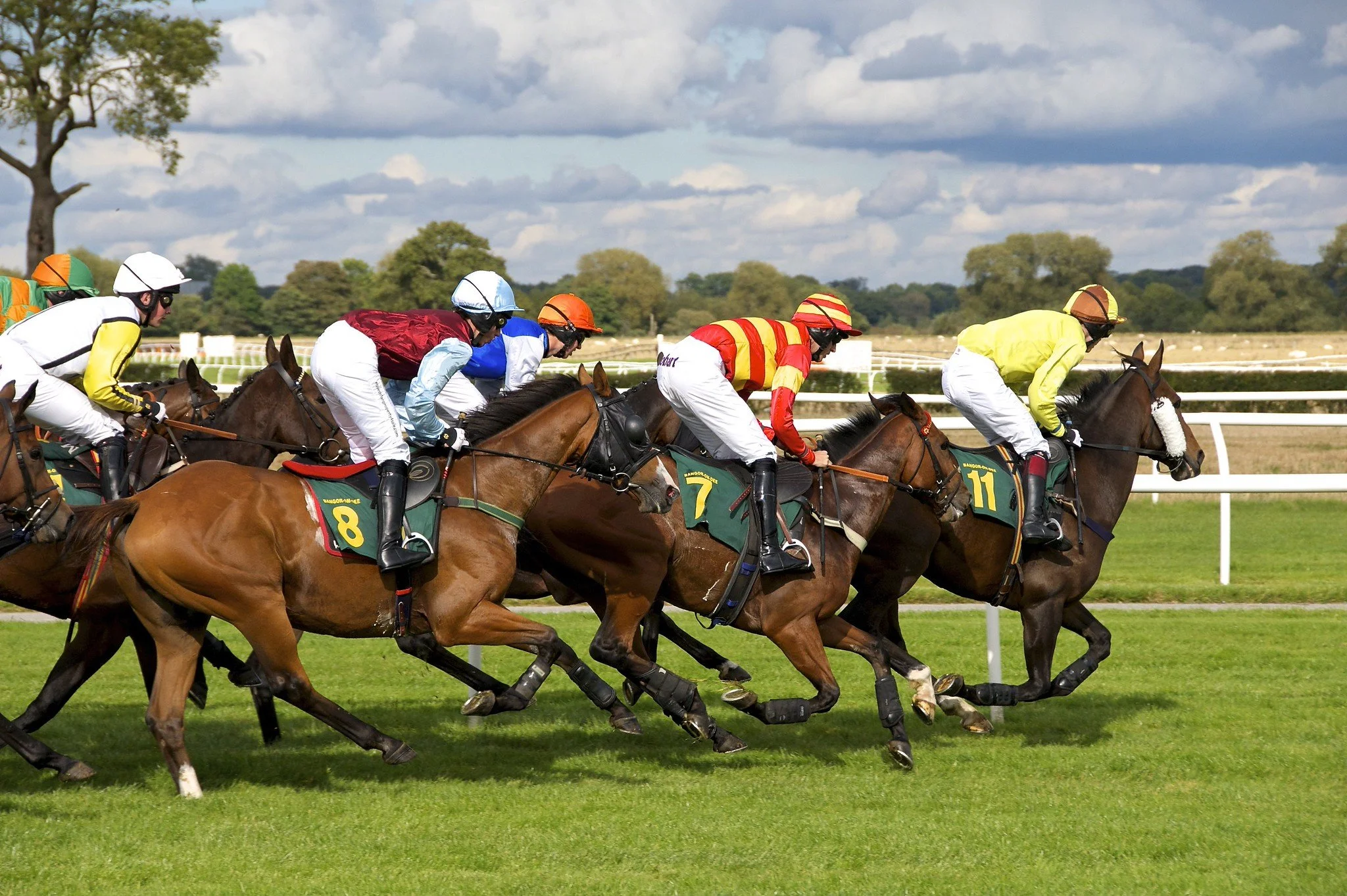 Beldame Day and Cambridgeshire Friday Highlight a Loaded September 25 Card