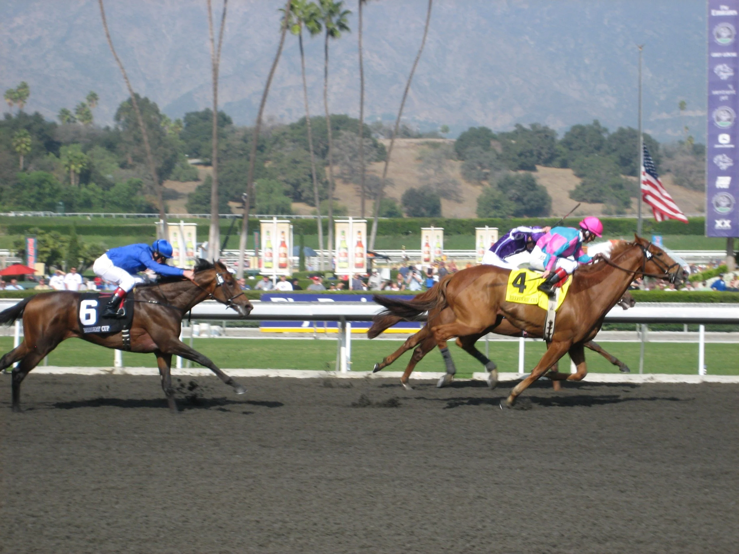 Breeders' Cup Win And You're In Tracker: Every Qualifier From September 26 Through October 4