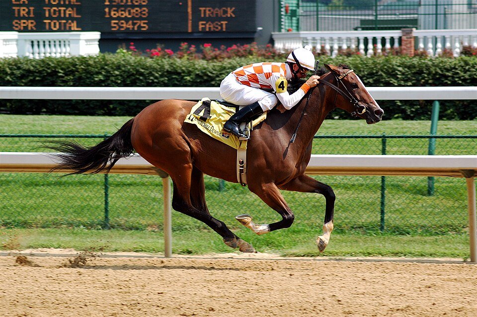 Saturday Racing Preview October 3: Keeneland, Belmont Park and the Delaware Handicap