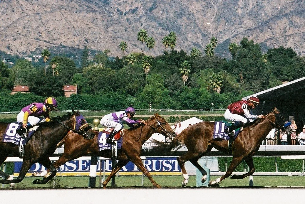 The Road to the Breeders' Cup: Win and You're In and the Dirt Dozen