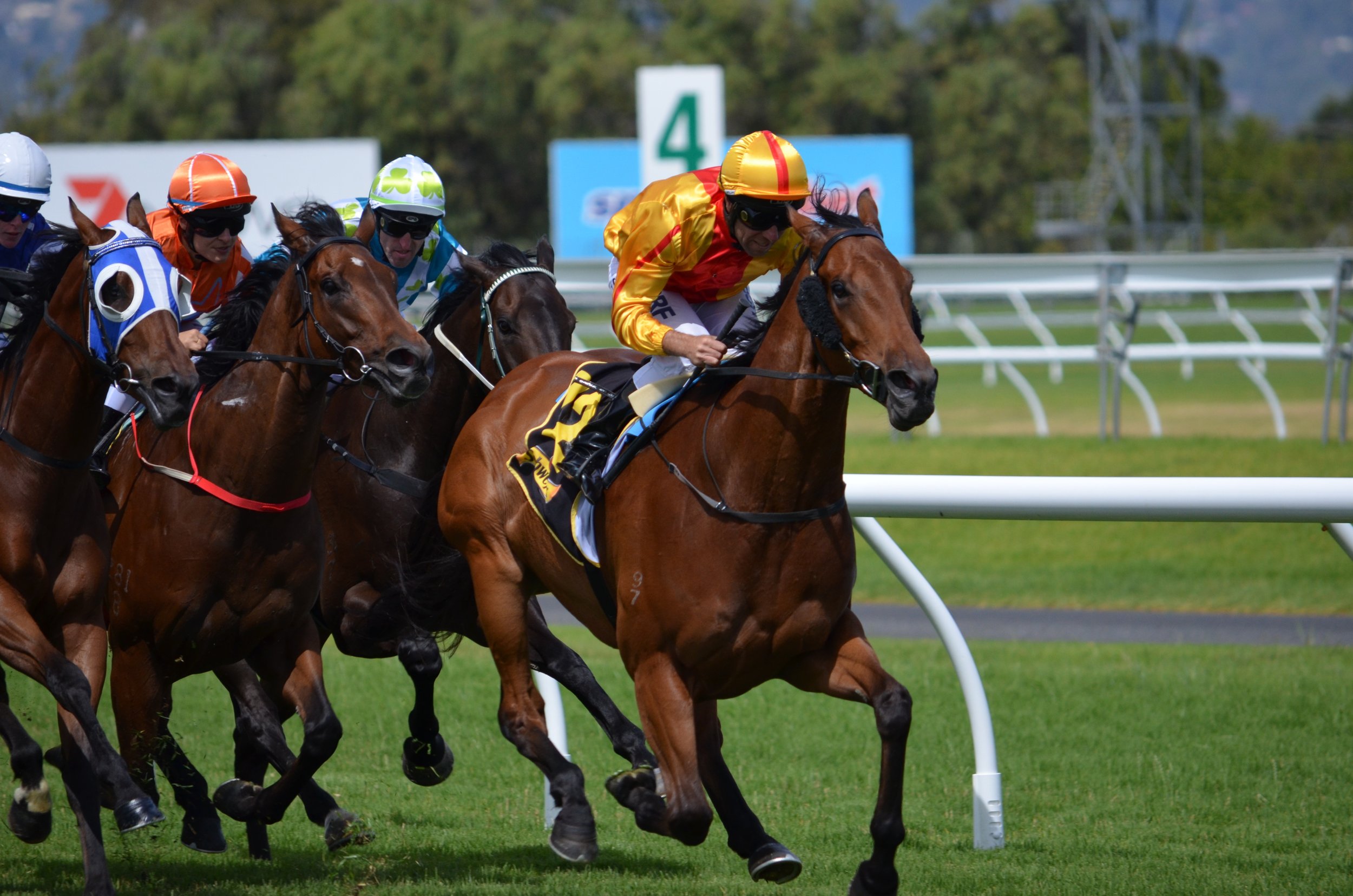 What Is the Breeders' Cup? History, Pedigree and Popularity