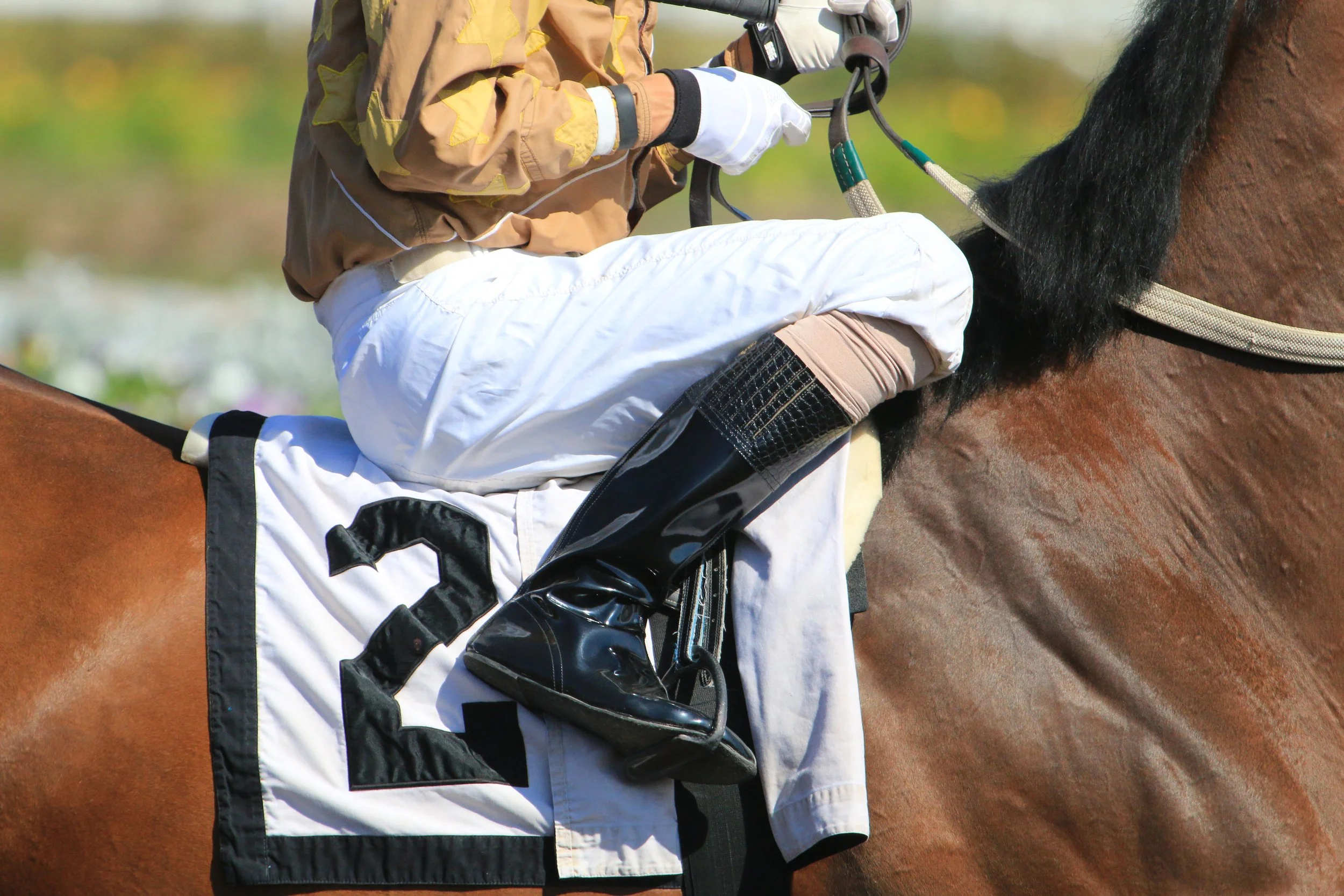 rom win bets to trifectas, discover how to bet the Belmont Stakes smarter — with handicapping angles, pedigree tips, and exotic betting strategies to use every Triple Crown season.