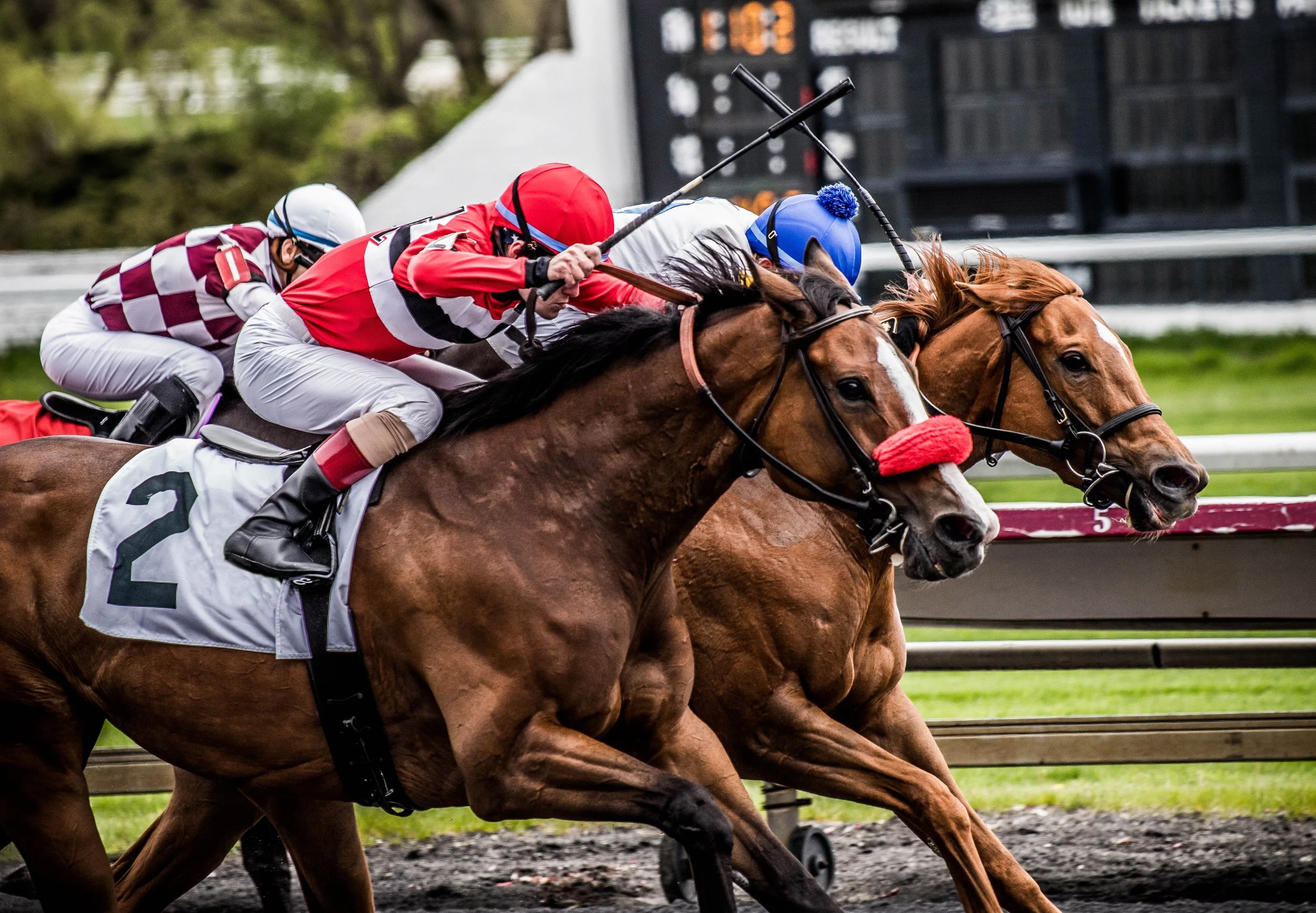 Master the art of betting the Belmont Stakes with our strategy guide — covering win bets, exotic wagers, pace analysis, and handicapping tips for beginners and experienced bettors alike.