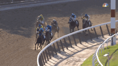 Claude responded: Belmont Stakes post position analysis and statisticsBelmont Stakes post position analysis and statistics for bettors at MyWinners.