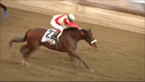 A guide to how to bet on horse racing online in Connecticut, covering legal ADW wagering, bet types, pari-mutuel odds, strategy, and major races available through MyWinners.
