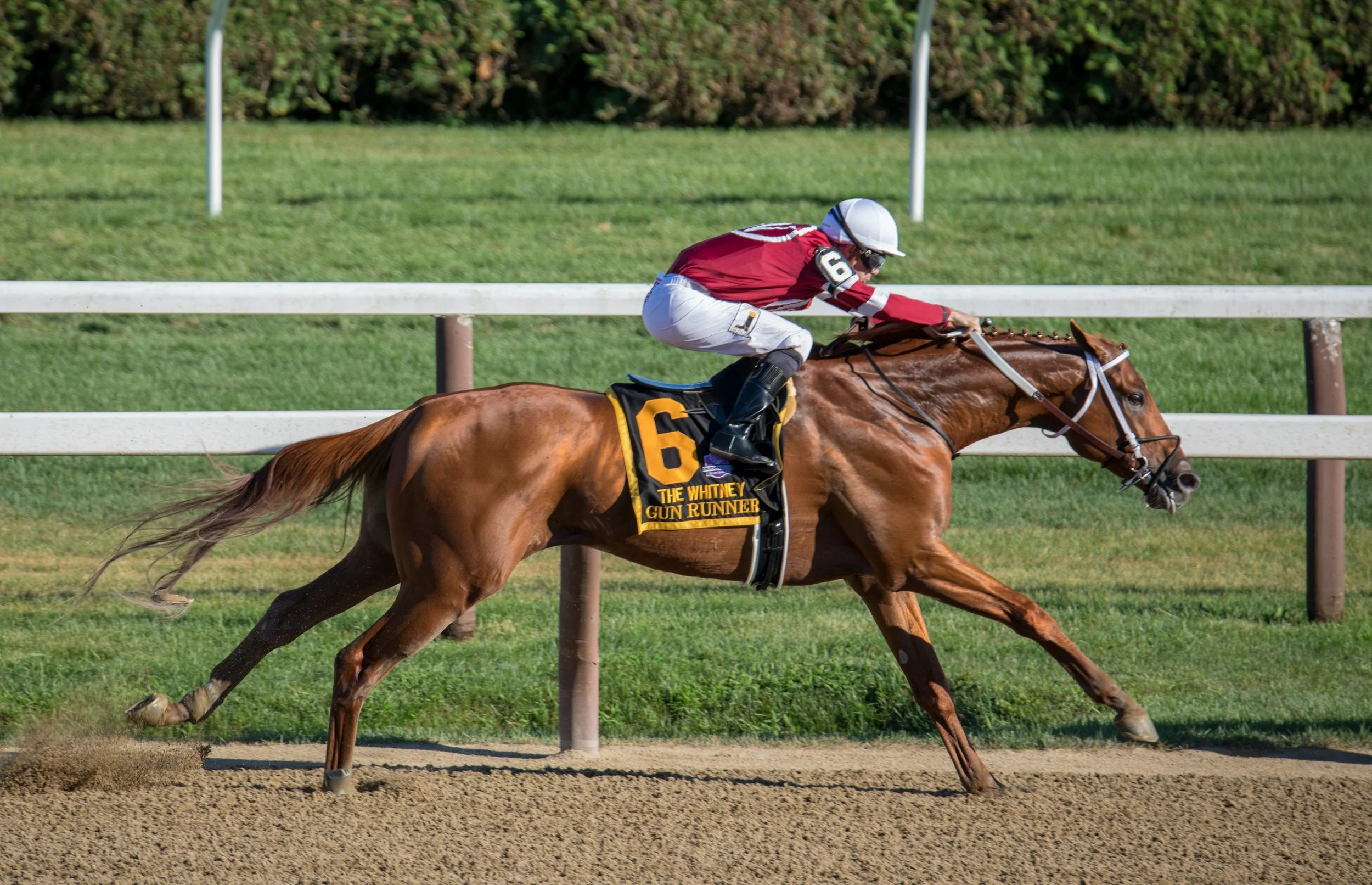 Saratoga 2026 opening weekend at Saratoga Race Course