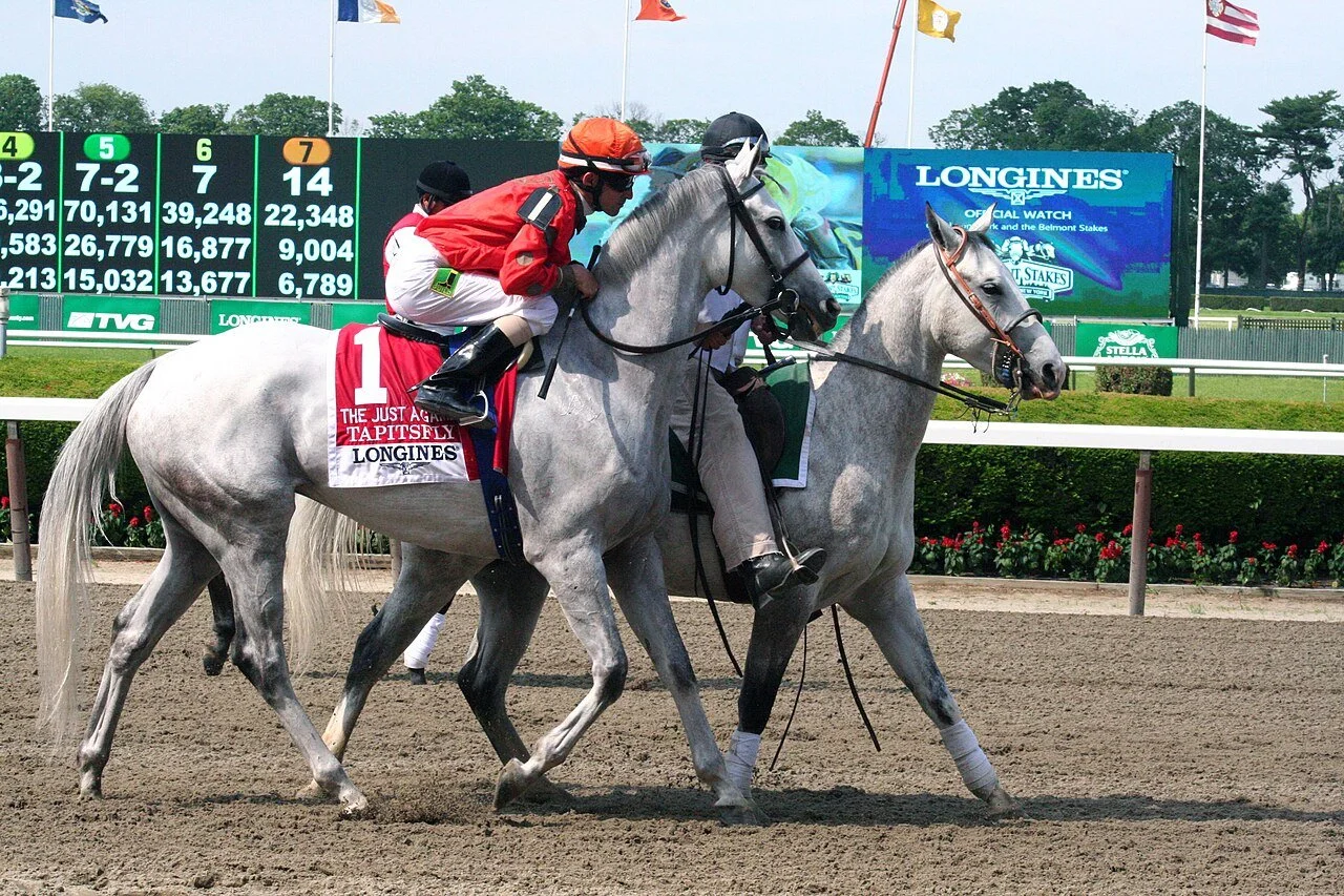 Turf racing at the rebuilt Belmont Park, host of the Joe Hirsch Turf Classic 2026 and five more graded stakes on Thursday, October 1.