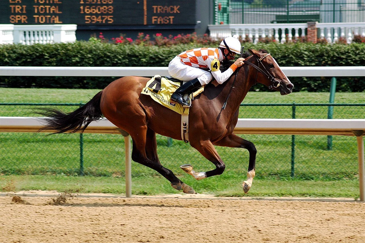 Indiana Derby 2026 day favorite Mizumi in the Indiana Oaks post parade.