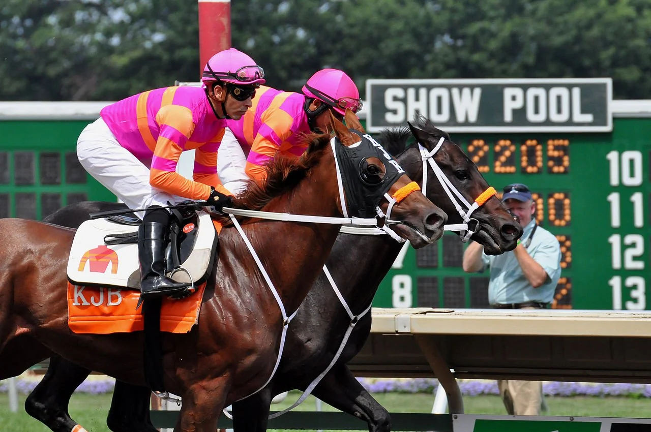 Haskell Stakes 2026 crowd and grandstand at Monmouth Park.
