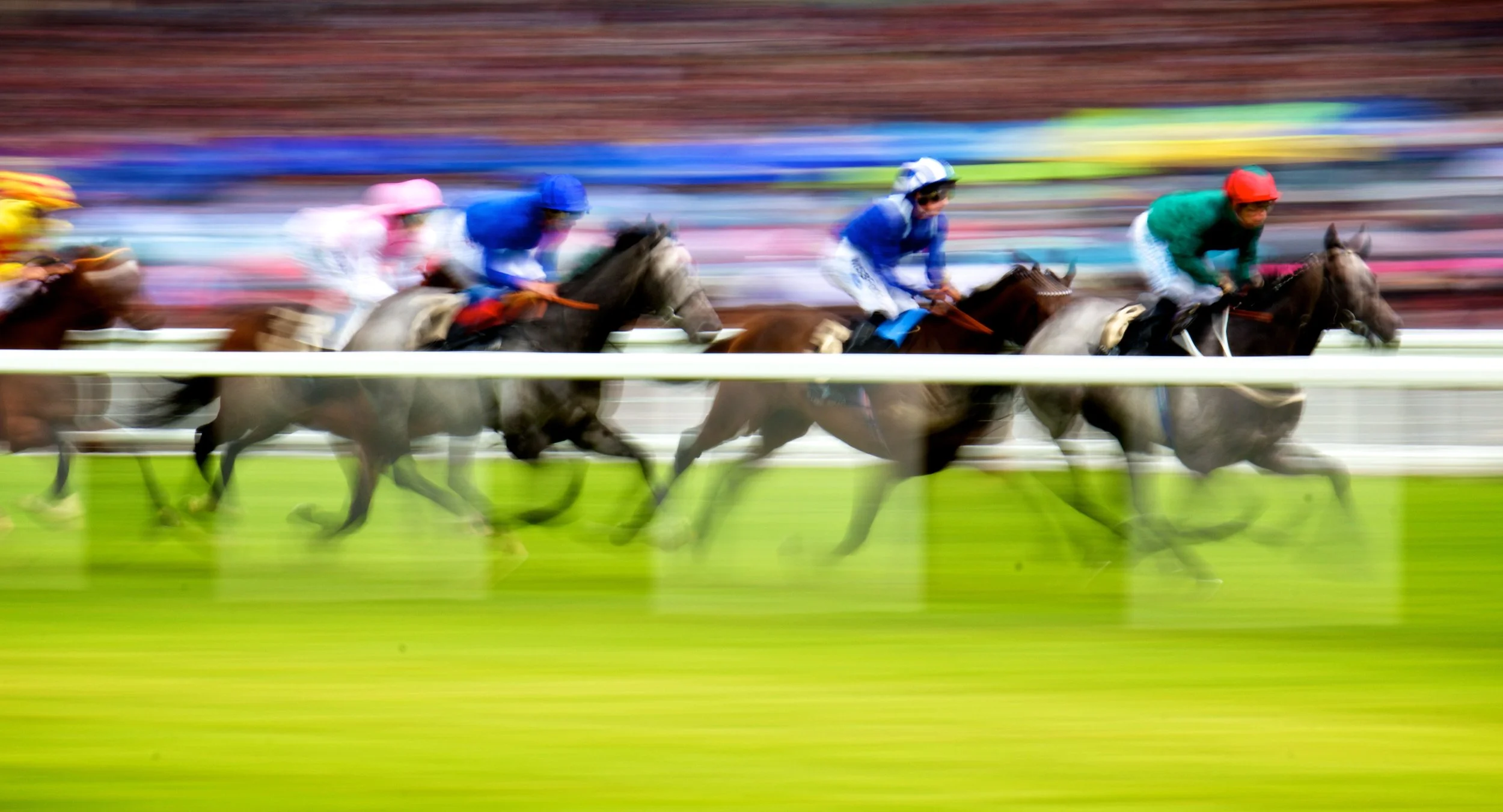 Horses in the parade ring ahead of a Group 1, part of the Royal Ascot 2026 results guide from MyWinners in Connecticut.