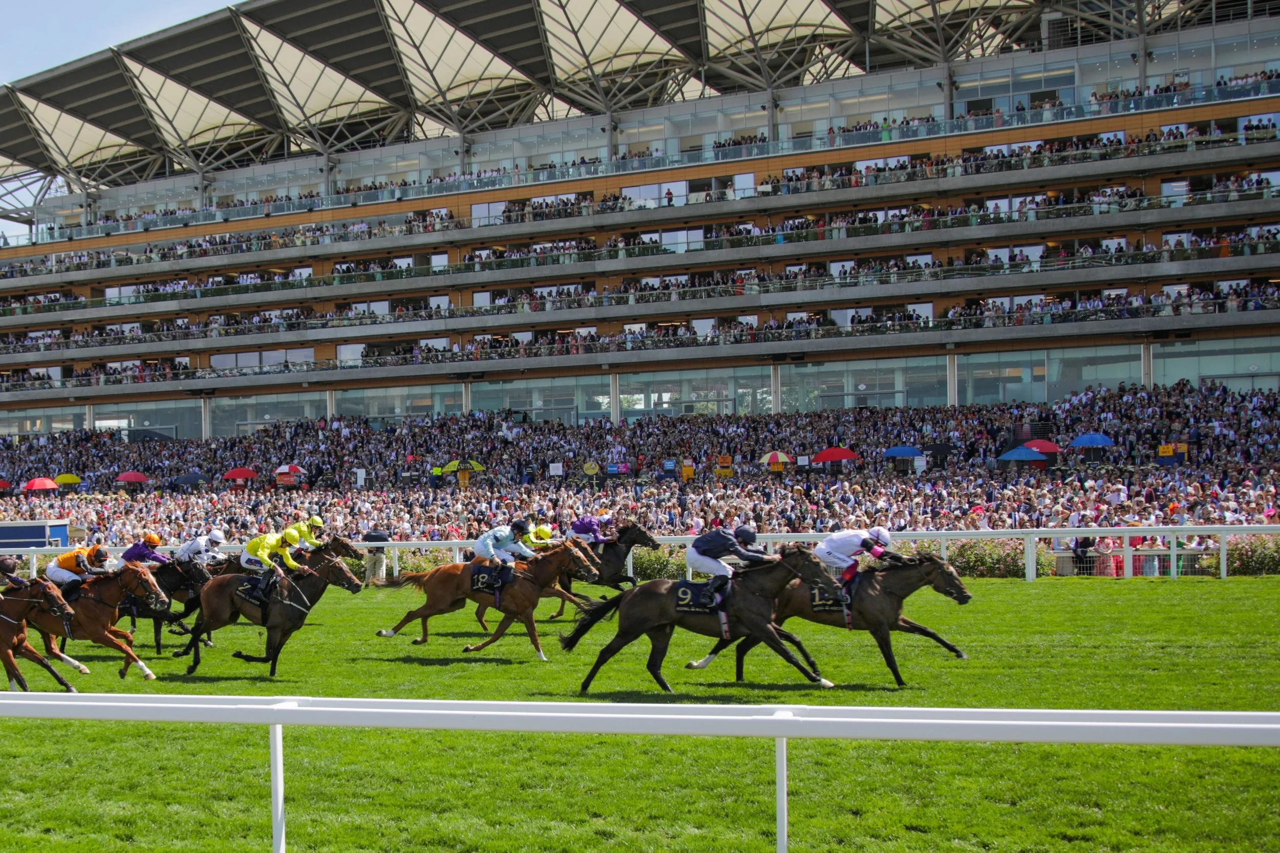 Royal Ascot tips for betting the Commonwealth Cup on MyWinners, with the favourite and the American each-way angle.