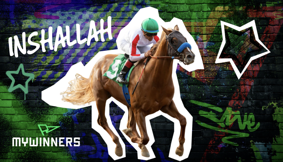 nshallah (NY) is a two-year-old Flightline colt who broke his maiden at Del Mar on Aug 15.