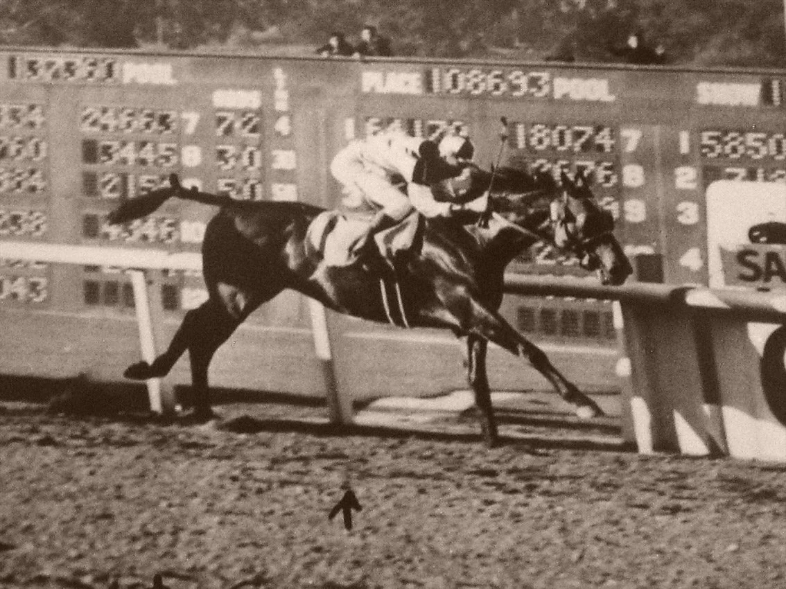 Seabiscuit crossing the wire ahead of War Admiral in the 1938 Pimlico Special.