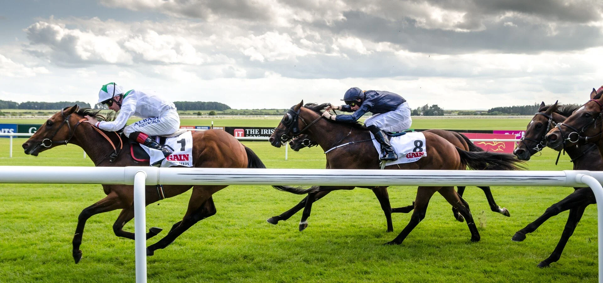 MyWinners review and Irish Derby 2026 result from the Curragh racecourse, where Benvenuto Cellini won the Group 1.