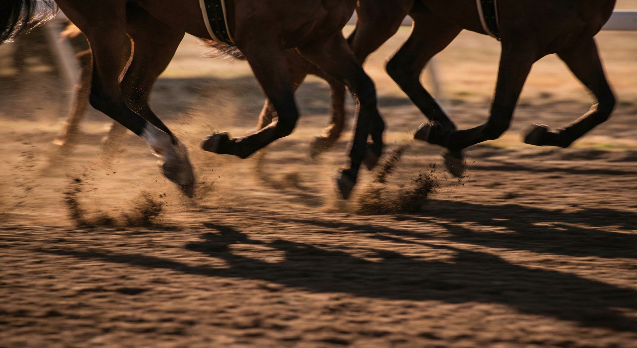 Jockey and thoroughbred racing on the dirt track at Saratoga Race Course in the 2026 Belmont Stakes — bet at MyWinners