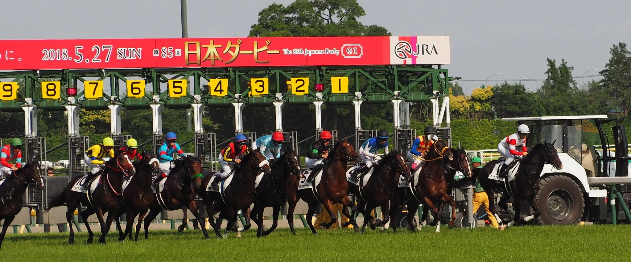 Bet on Japanese horse racing with MyWinners JRA Grade 1 turf