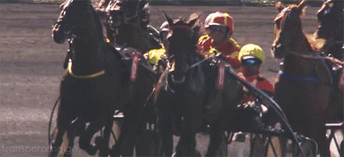 Harness racing triple crown betting at MyWinners — the Meadowlands Racetrack hosts Leg 1 of both the Trotting and Pacing Triple Crowns