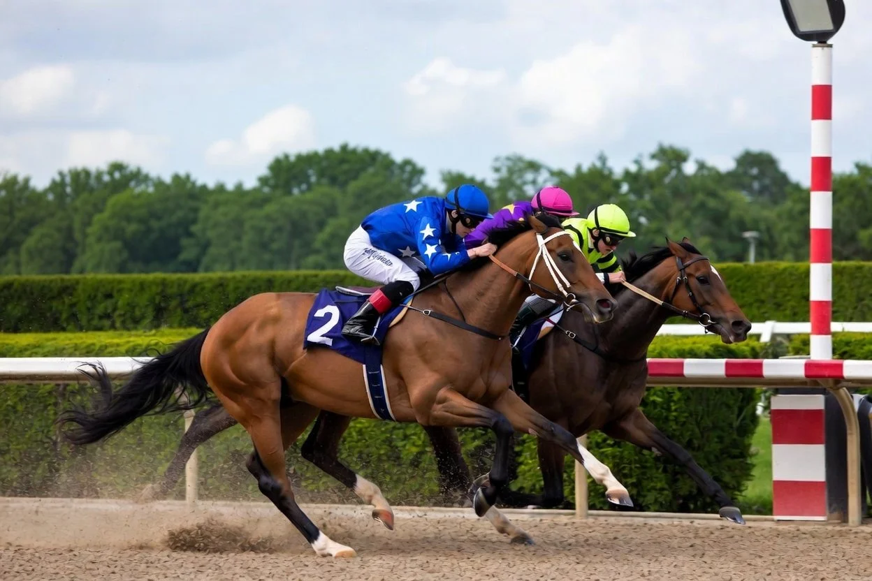 Bet Sunday's stakes races with the Ellis Park Derby Day betting guide"