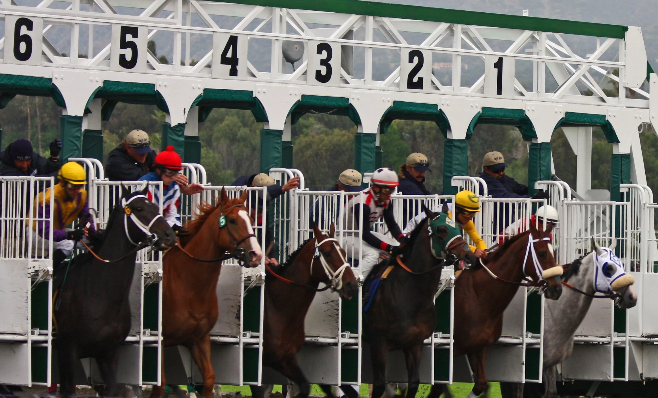Turf racing action at Colonial Downs ahead of the 2026 Arlington Million Description: A field of turf runners races down the stretch at Colonial Downs, the New Kent, Virginia track hosting the 2026 Arlington Million
