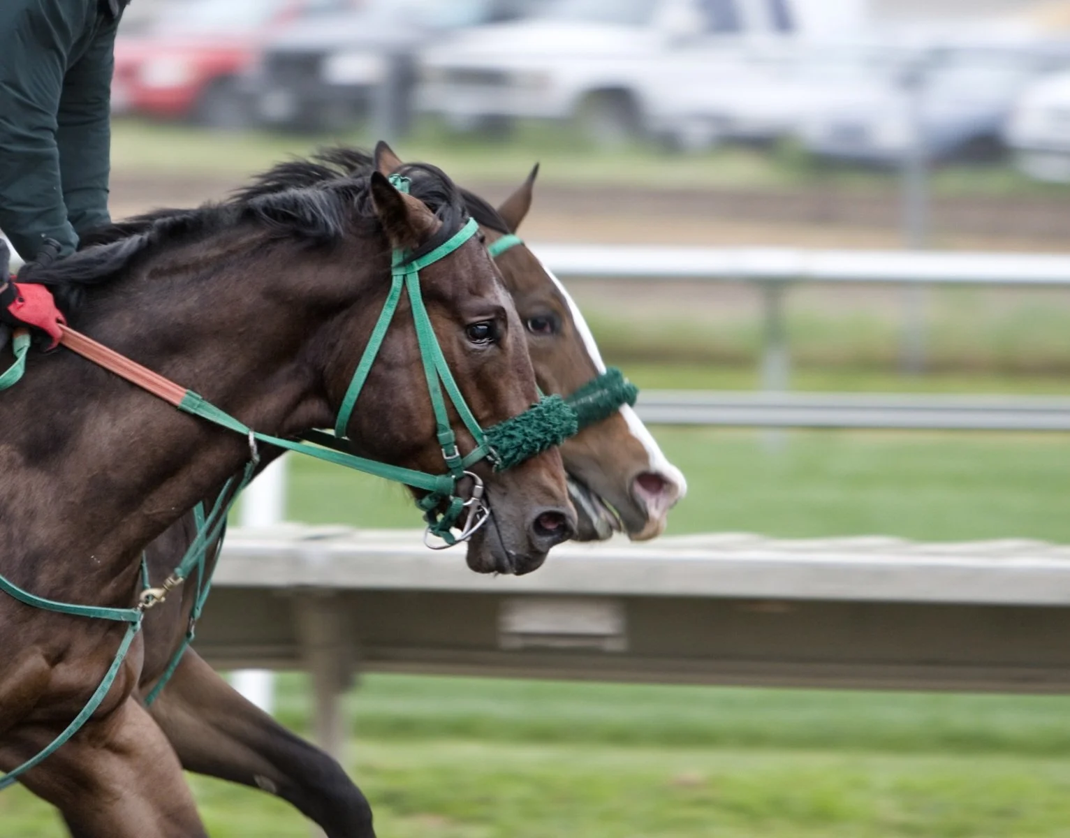 Bet the Jim Dandy Stakes 2026 on the MyWinners app.