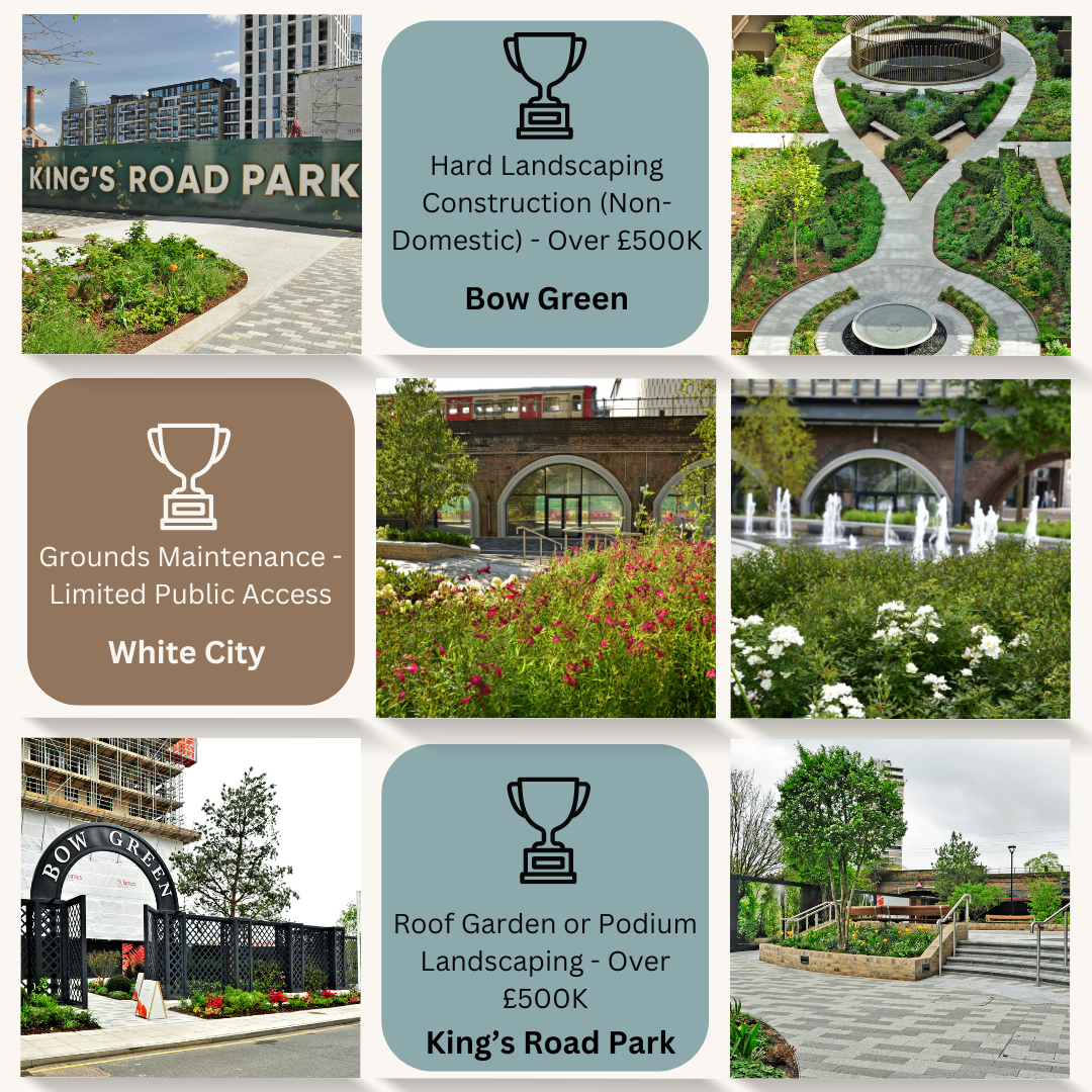 Three BALI Awards for Elite