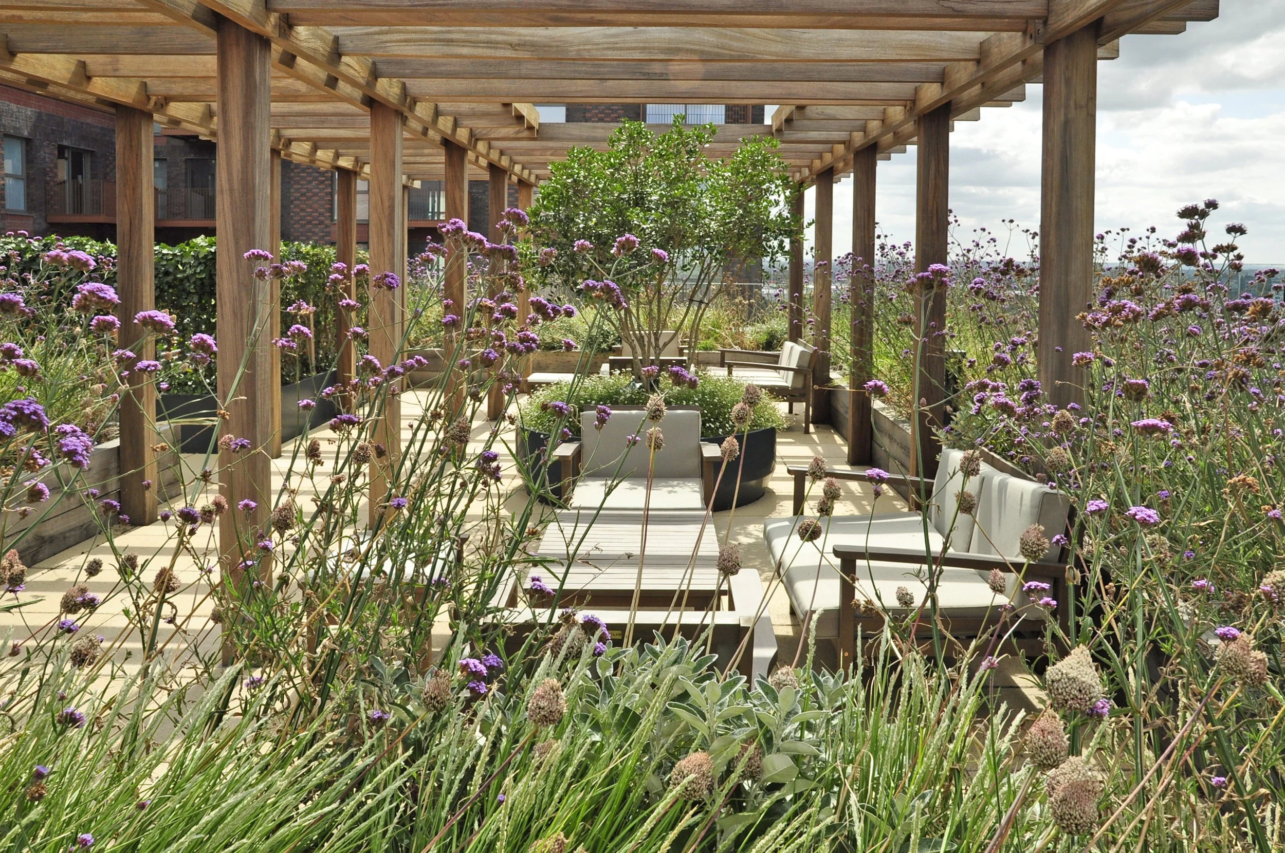 Rooftop garden with wooden pergola, purple and white flowers, and outdoor furniture including sofas and chairs