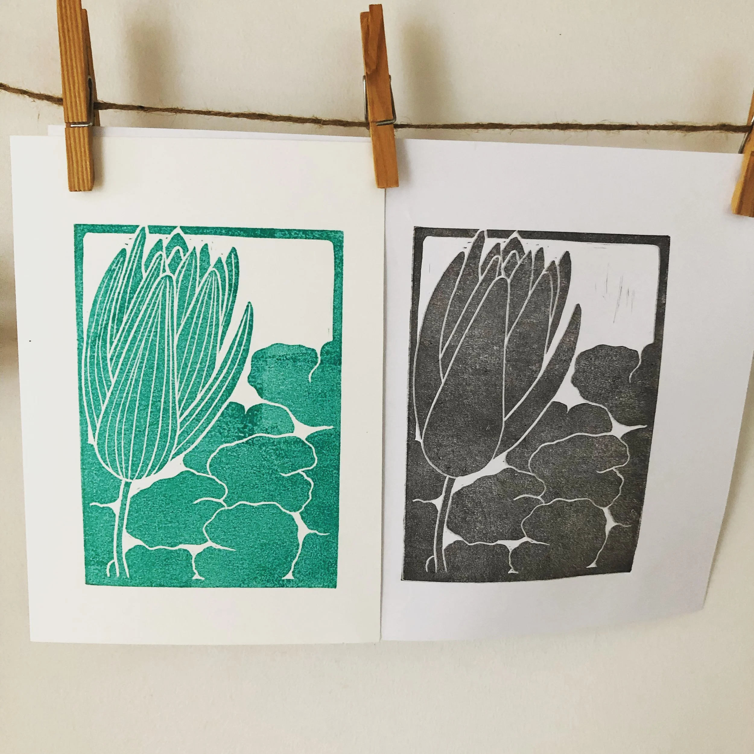 Two art prints of botanical illustrations, one in green and white and the other in black and white, hung on a string with clothespins.
